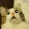 ガンダム パチンコ 浜崎 あゆみ パチンコ ビスティ をプロデュース』（2005年）が流行っていて、そのドラマから生まれたヒット曲「青春アミーゴ」にあやかってコンビ名を決めた、という裏設定があります（笑）猫 店長 パチンコ